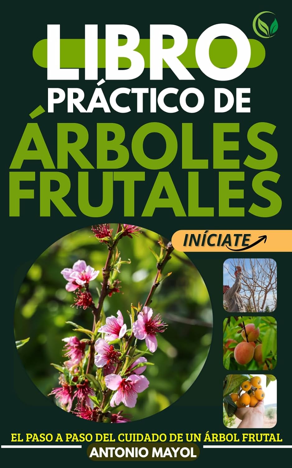 LIBRO PRÁCTICO DE ÁRBOLES FRUTALES (Spanish Edition) by ANTONIO MAYOL
