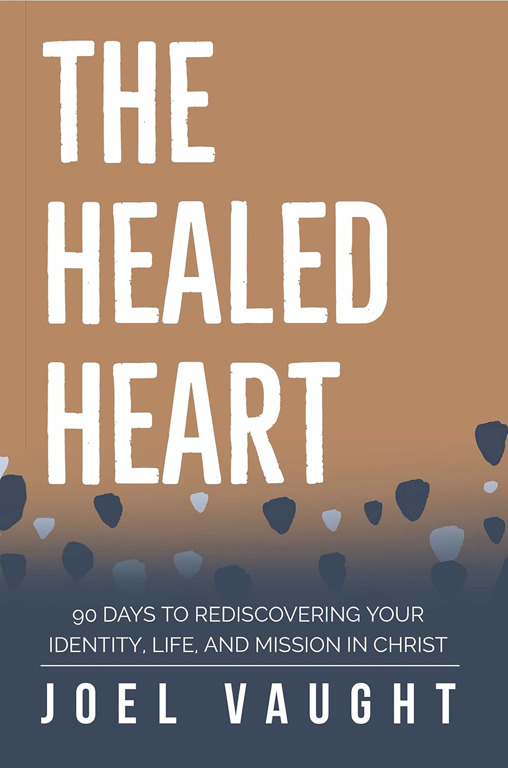 The Healed Heart: 90 Days to Rediscovering Your Identity, Life, and Mission in Christ by Joel Vaught