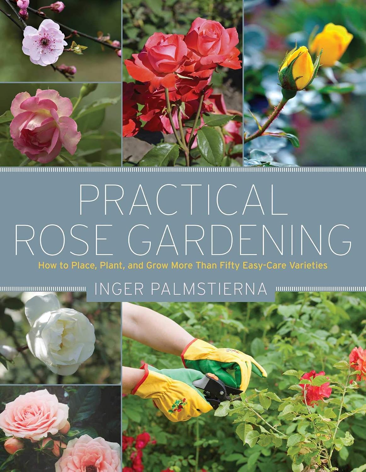 Practical Rose Gardening: How to Place, Plant, and Grow More Than Fifty Easy-Care Varieties by Inger Palmstierna