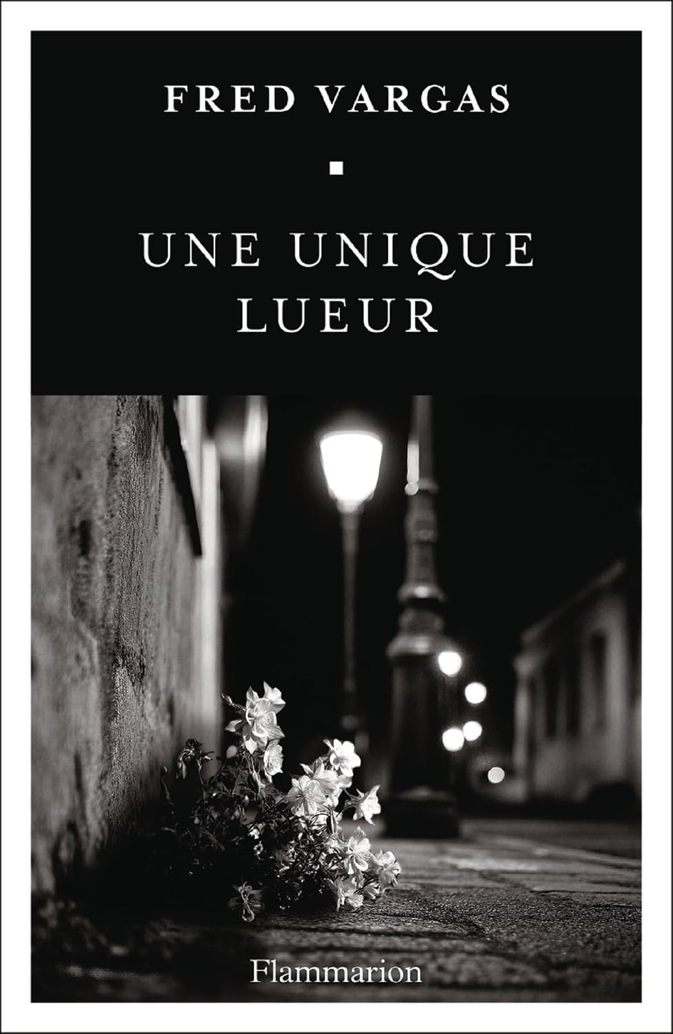 Une unique lueur (French Edition) by Fred Vargas