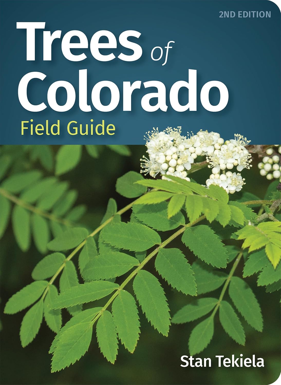 Trees of Colorado Field Guide (Tree Identification Guides) by Stan Tekiela