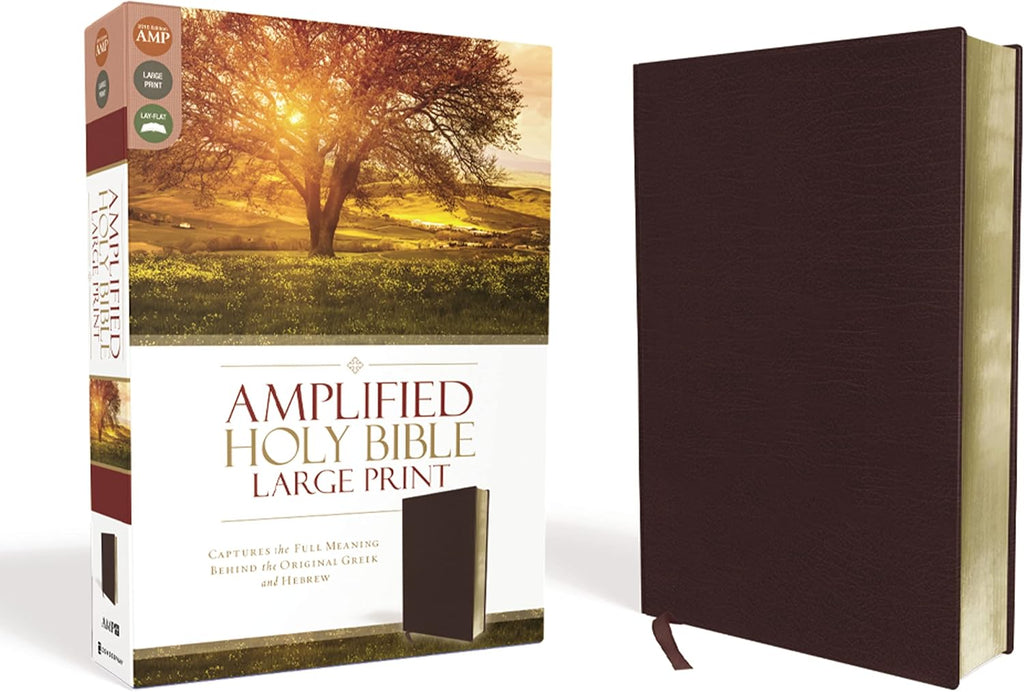 Amplified Holy Bible, Large Print, Bonded Leather, Burgundy: Captures the Full Meaning Behind the Original Greek and Hebrew by Zondervan
