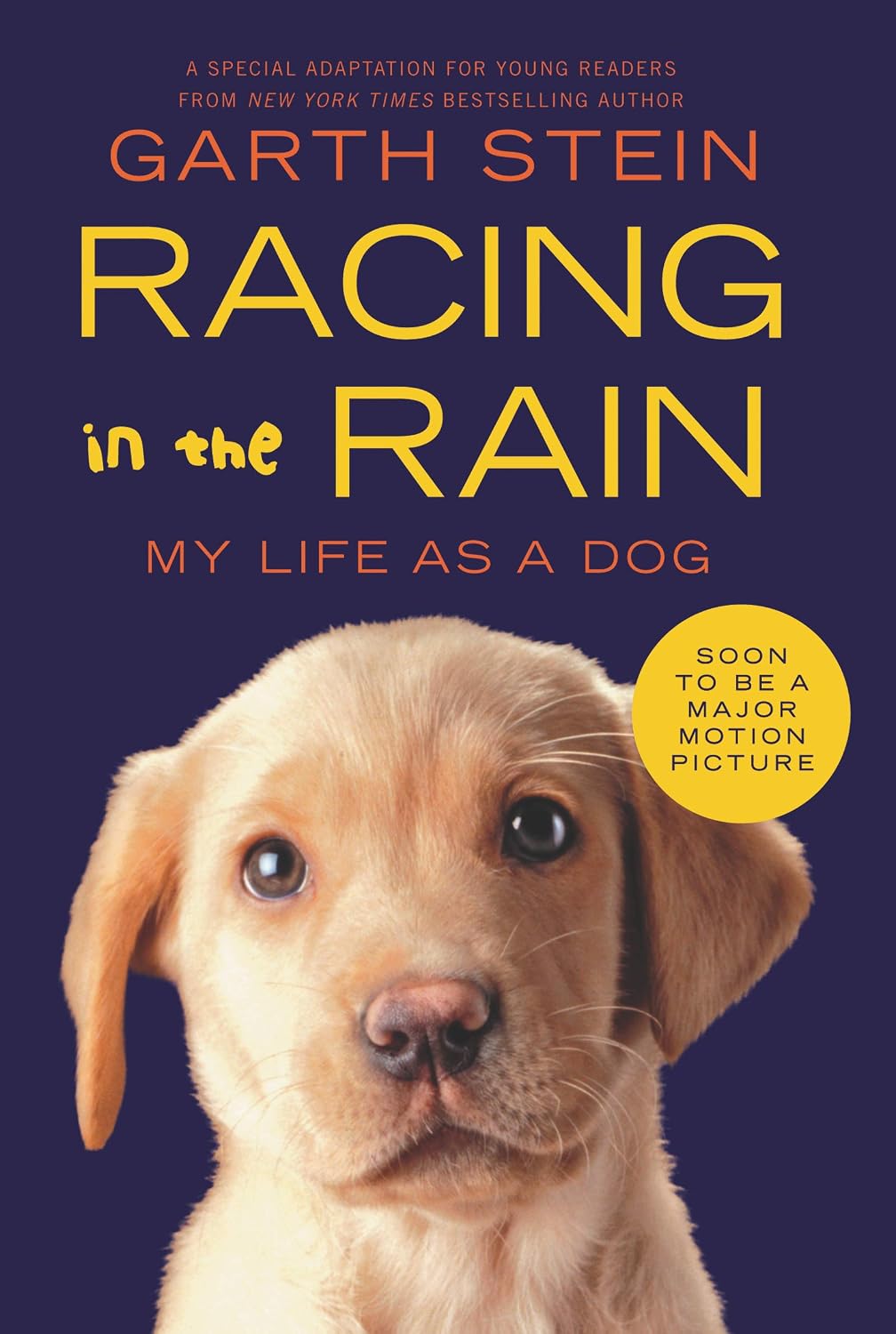 Racing in the Rain: My Life as a Dog by Garth Stein