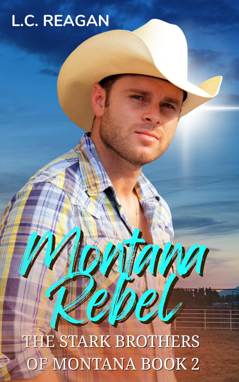 Montana Rebel: An Enemies-to-Lovers Cowboy Romance (Colton’s Story) (The Stark Brothers of Montana) by L.C. Reagan