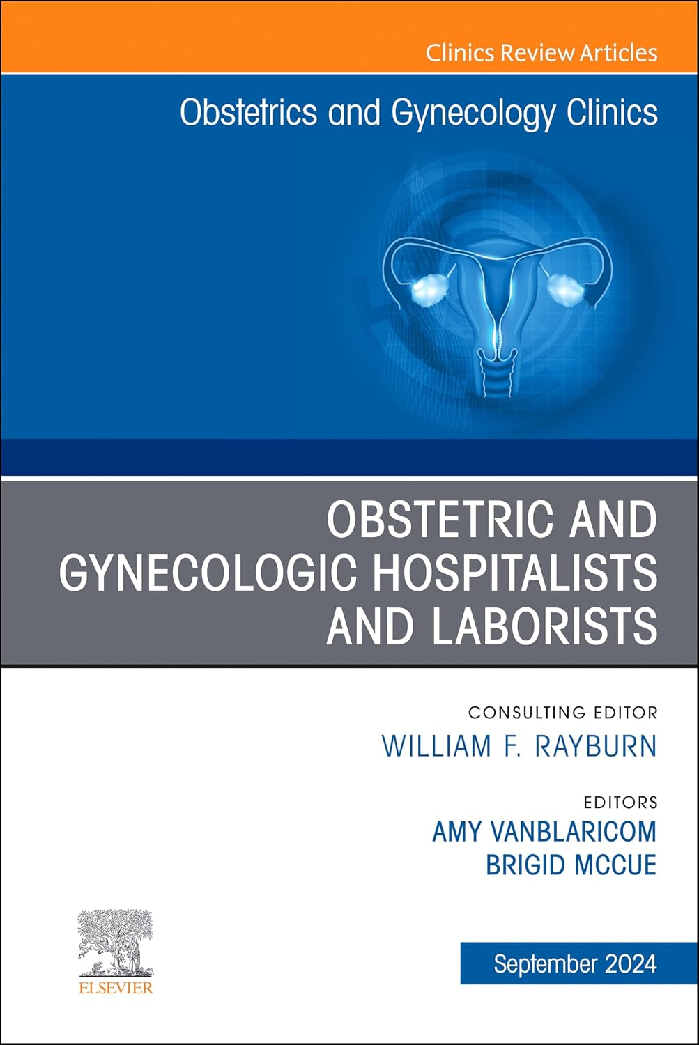 Obstetric and Gynecologic Hospitalists and Laborists, An Issue of Obstetrics and Gynecology Clinics, E-Book (The Clinics: Internal Medicine) by Amy Vanblaricom MD