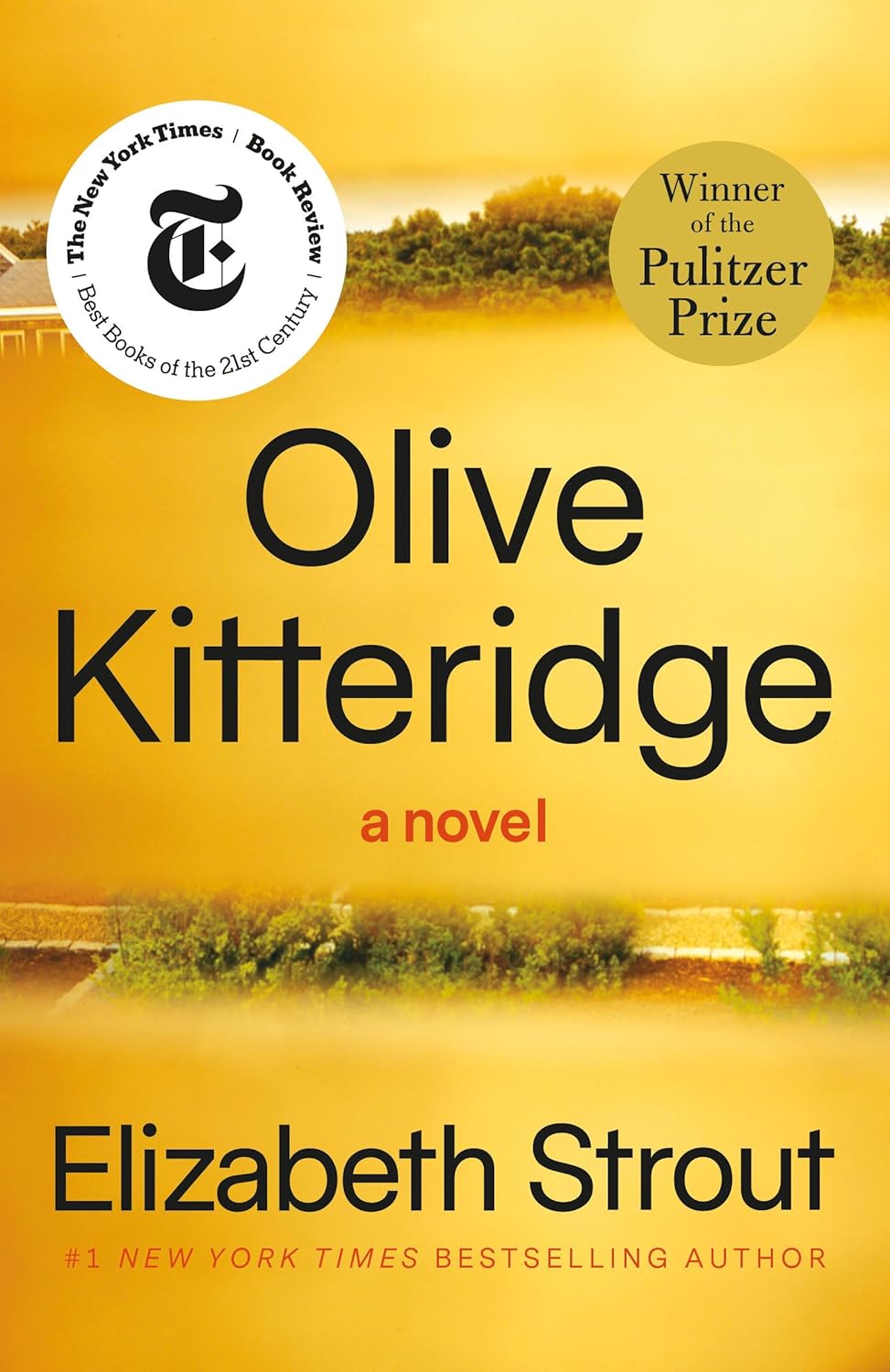 Olive Kitteridge by Elizabeth Strout
