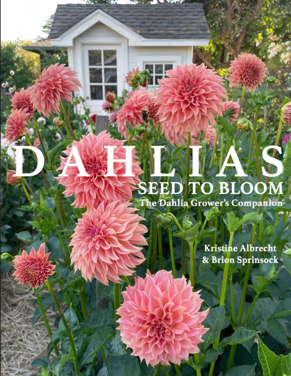 DAHLIAS: Seed to Bloom: The Dahlia Grower's Companion by Kristine Albrecht