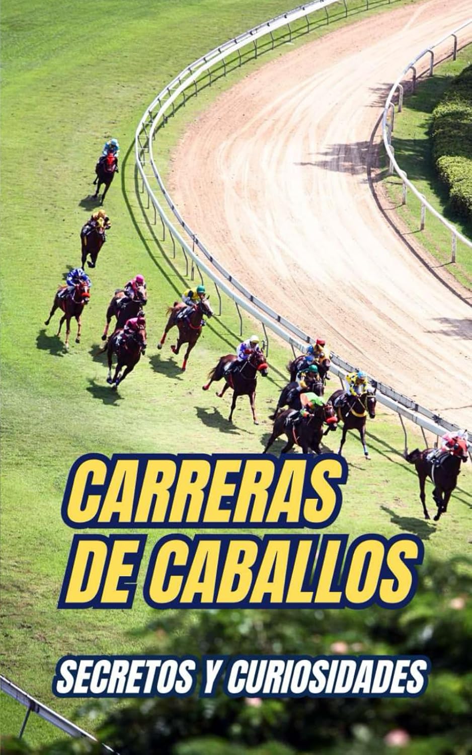 Carreras de Caballos : Secretos y Curiosidades (Spanish Edition) by VC Brothers