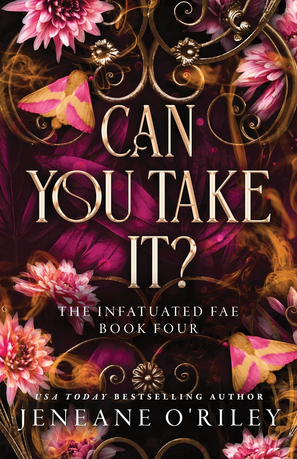 Can You Take It? (Standard Edition) (Infatuated Fae, 4) by Jeneane O'Riley