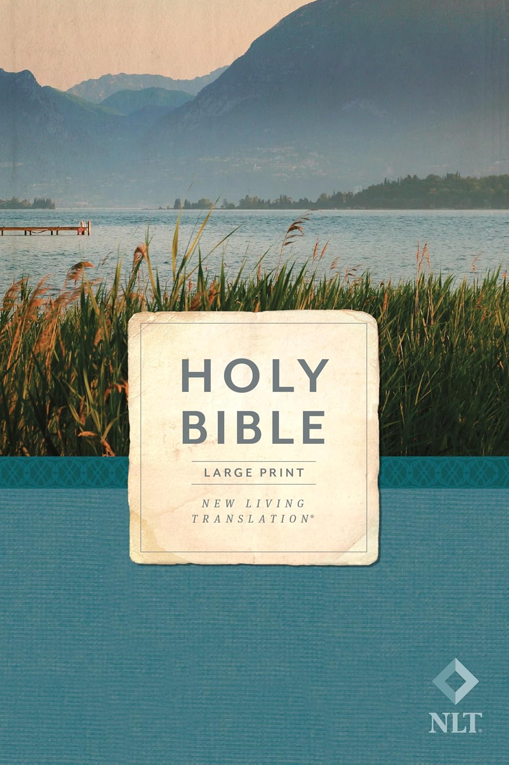NLT Economy Outreach Bible, Large Print by New Living Translation