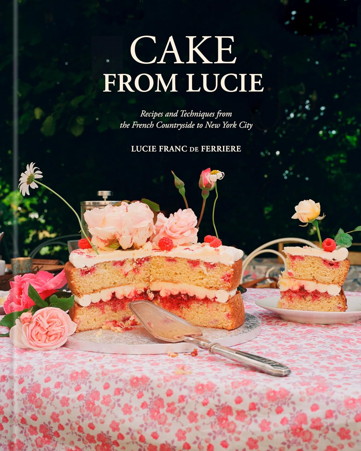 Cake From Lucie: Recipes and Techniques from the French Countryside to New York City: A Baking Book by Lucie Franc de Ferriere
