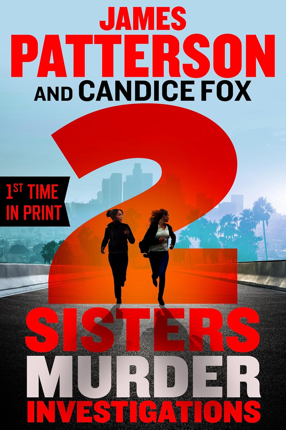 2 Sisters Murder Investigations: A Thriller (A 2 Sisters Detective Agency Mystery, 2) by James Patterson