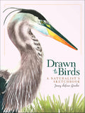 Drawn to Birds: A Naturalist's Sketchbook (Jenny Geuder Art) by Jenny deFouw Geuder