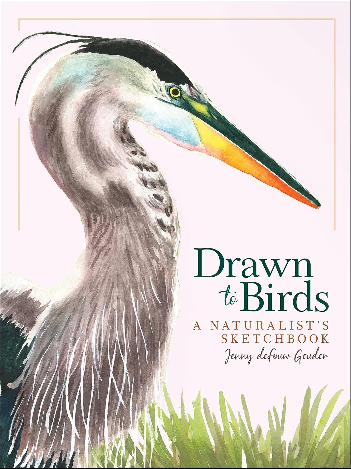 Drawn to Birds: A Naturalist's Sketchbook (Jenny Geuder Art) by Jenny deFouw Geuder
