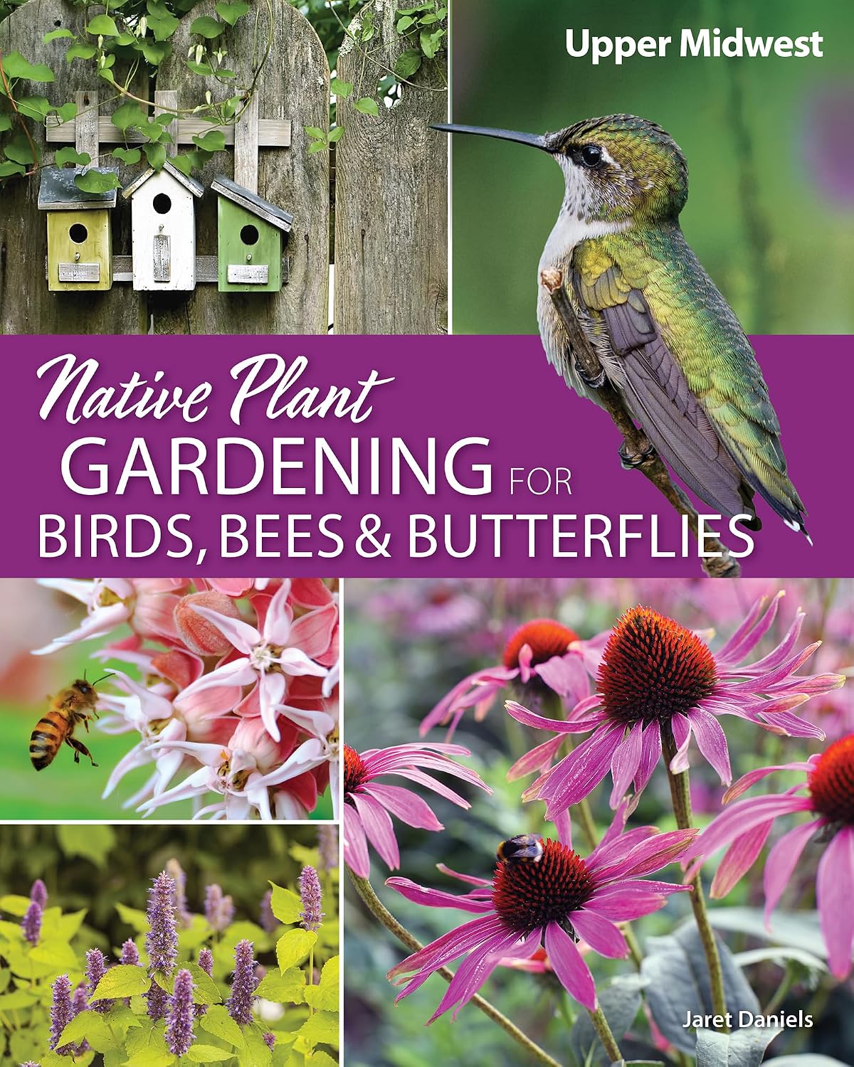 Native Plant Gardening for Birds, Bees & Butterflies: Upper Midwest (Nature-Friendly Gardens) by Jaret C. Daniels