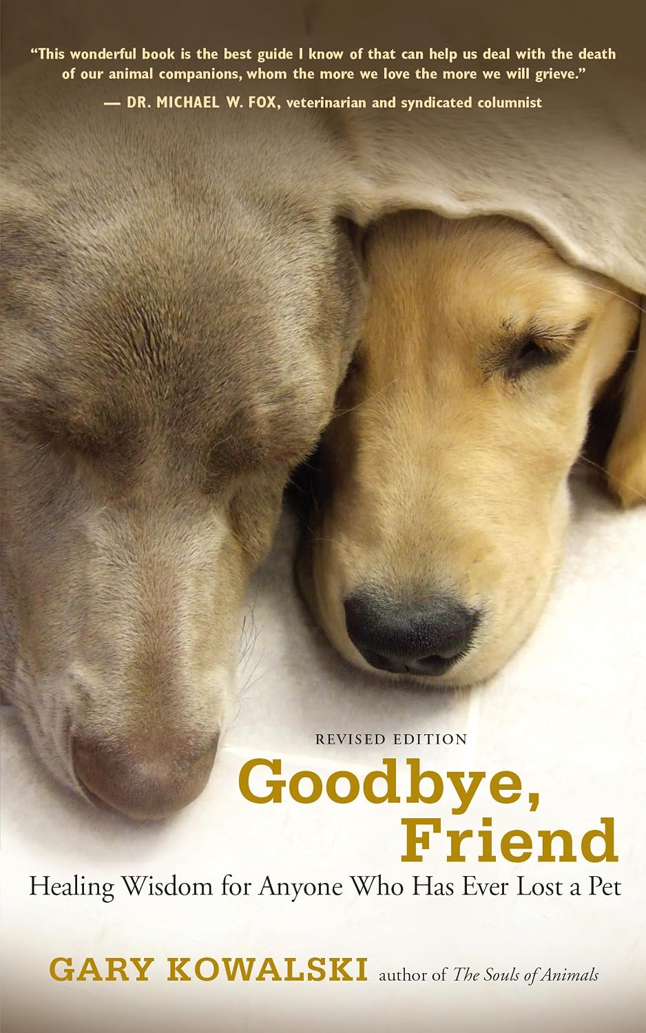 Goodbye, Friend: Healing Wisdom for Anyone Who Has Ever Lost a Pet by Gary Kowalski