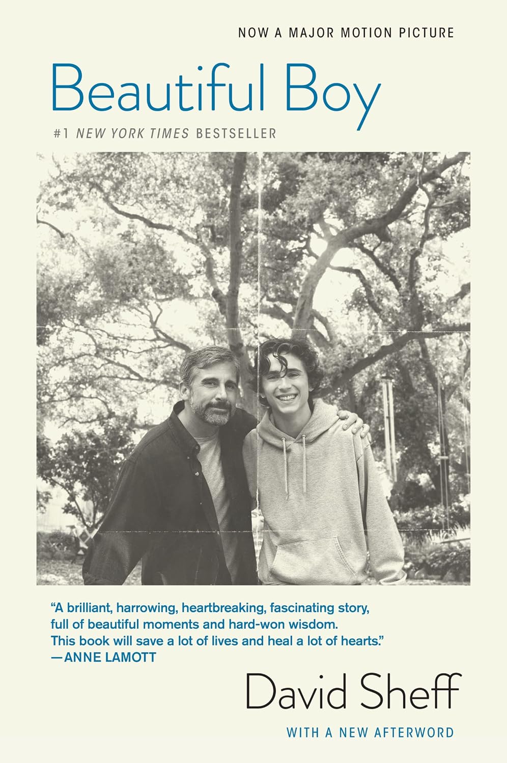 Beautiful Boy (tie-In): A Heartbreaking Story of a Father’s Love, Addiction, and the Fight to Save His Son by David Sheff
