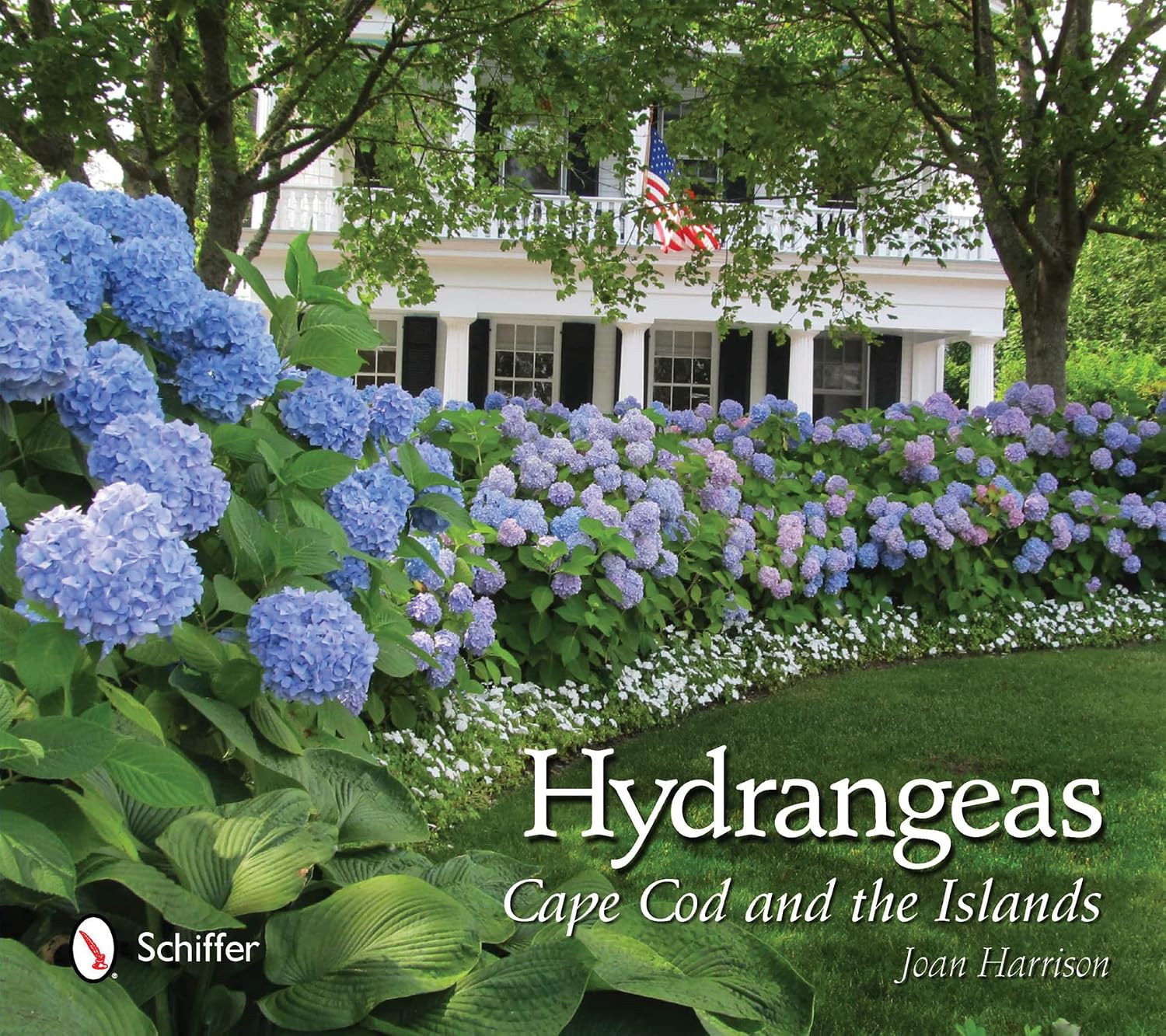 Hydrangeas: Cape Cod and the Islands by Joan Harrison
