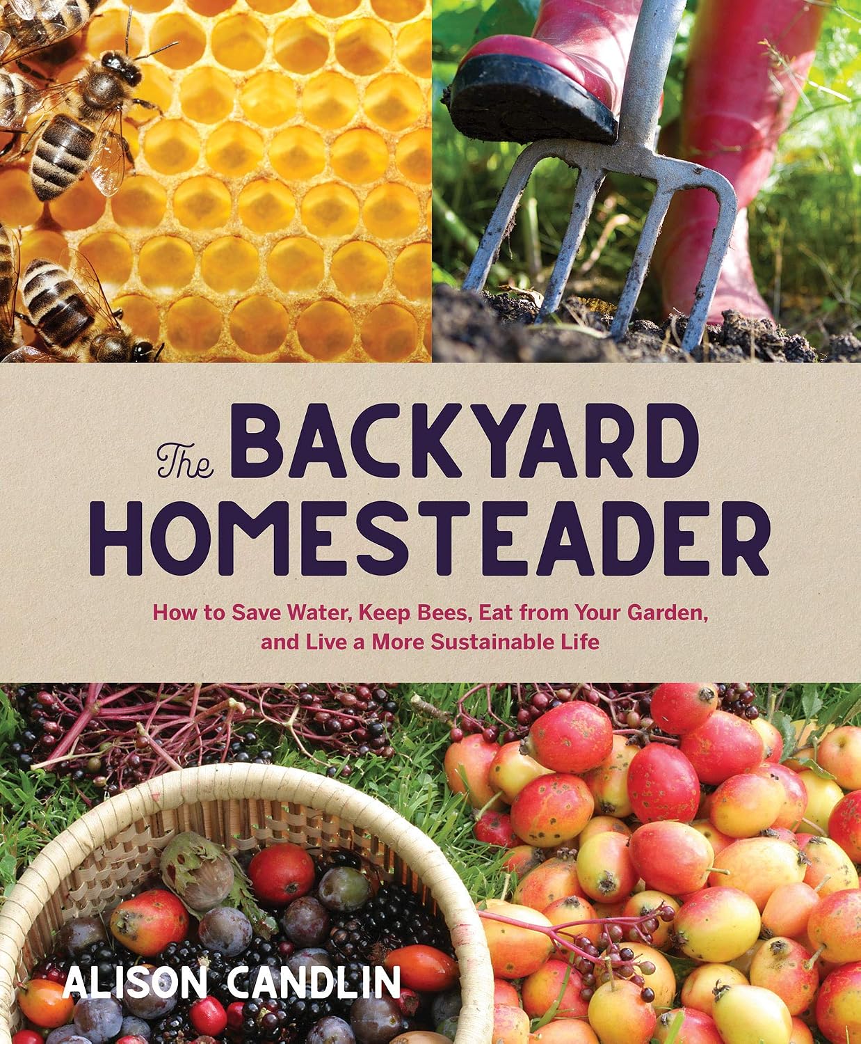 Backyard Homesteader: How to Save Water, Keep Bees, Eat from Your Garden, and Live a More Sustainable Life by Alison Candlin