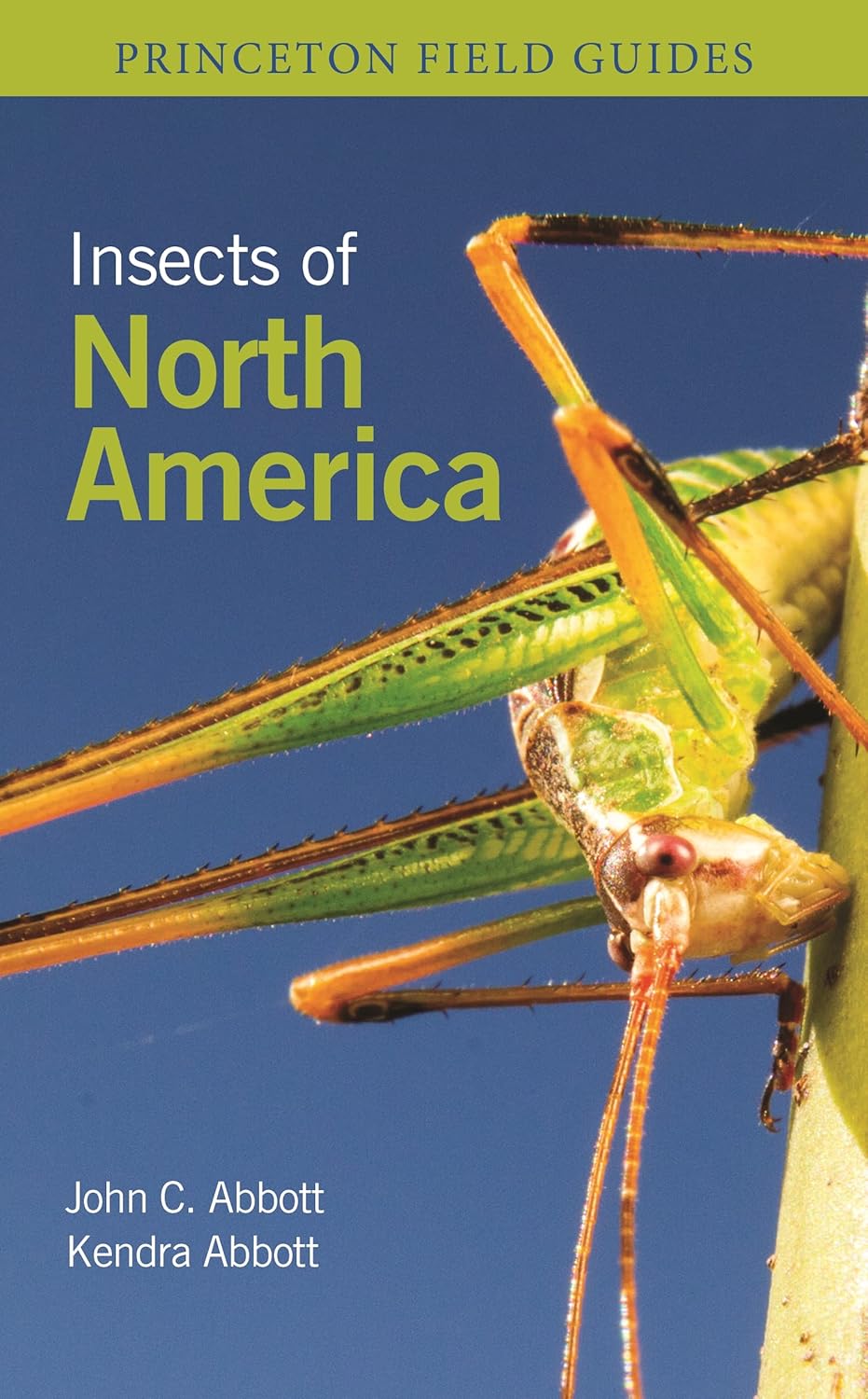 Insects of North America (Princeton Field Guides) by Dr. John C. Abbott