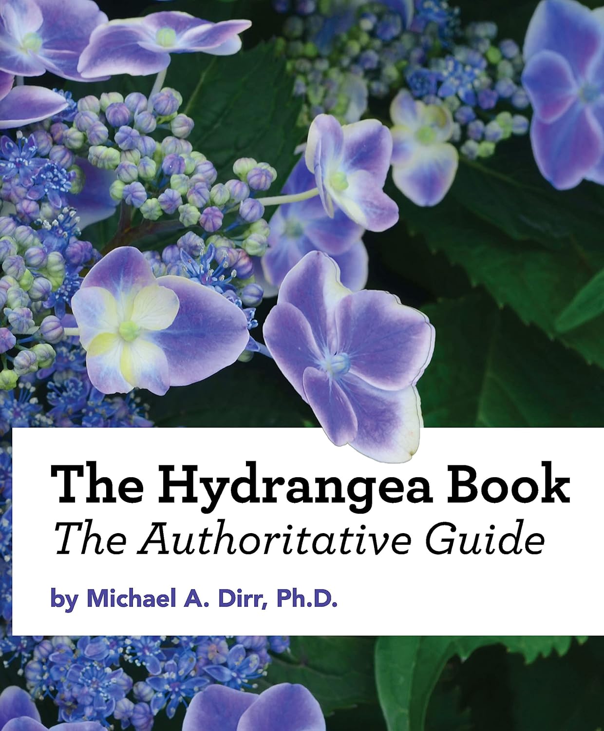 The Hydrangea Book: The Authoritative Guide by Michael A Dirr