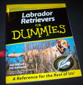Labrador Retrievers for Dummies (For Dummies Series) by Joel Walton