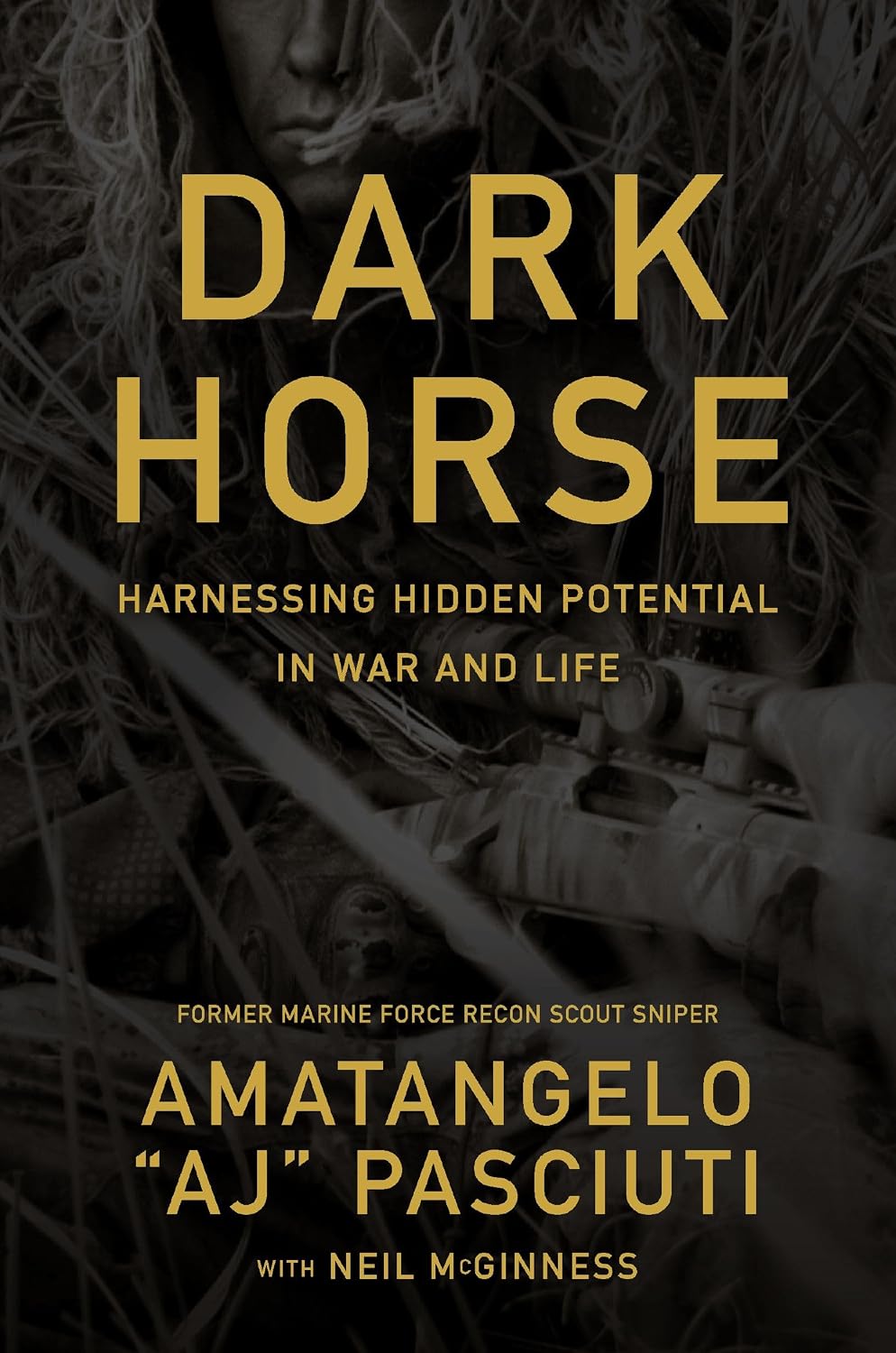 Darkhorse: Harnessing Hidden Potential in War and Life by Amatangelo “AJ” Pasciuti