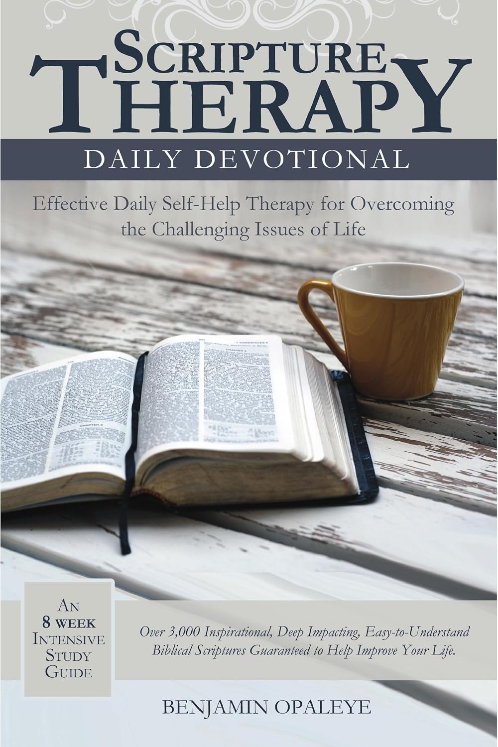 Scripture Therapy Daily Devotional: Effective Daily Self-Help Therapy for Overcoming the Challenging Issues of Life by Benjamin Opaleye