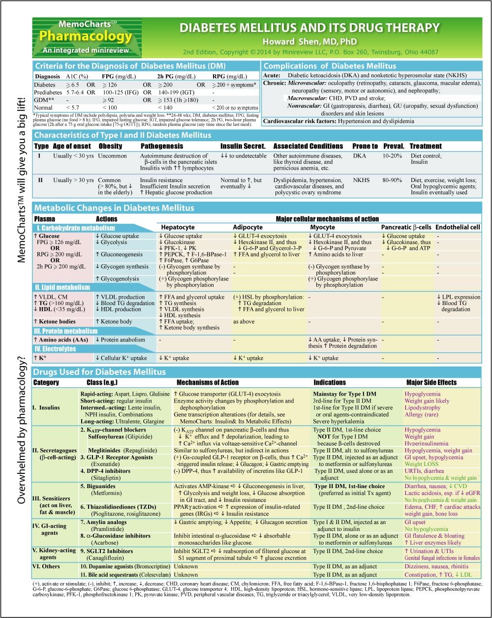 MemoCharts Pharmacology: Diabetes Mellitus and Its Drug Therapy (Review chart) by Howard Shen