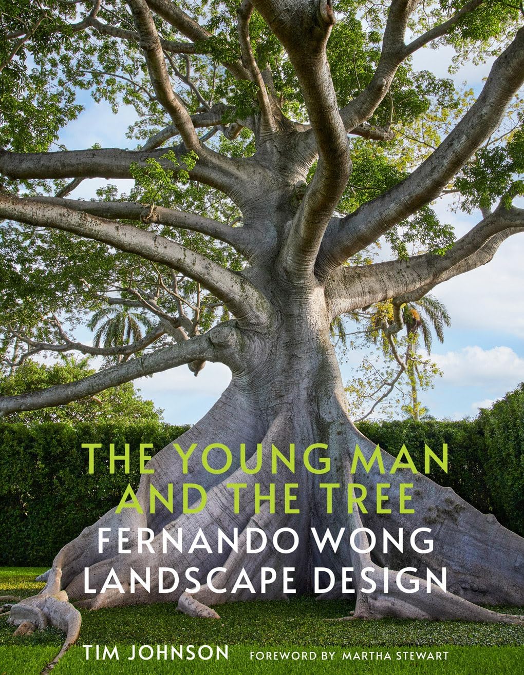 The Young Man and the Tree: Fernando Wong Landscape Design―Explore the stunning private tropical gardens created by award-winning landscape designer Fernando Wong by Tim Johnson