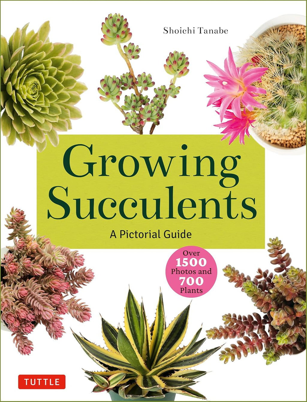 Growing Succulents: A Pictorial Guide (Over 1,500 photos and 700 plants) by Shoichi Tanabe
