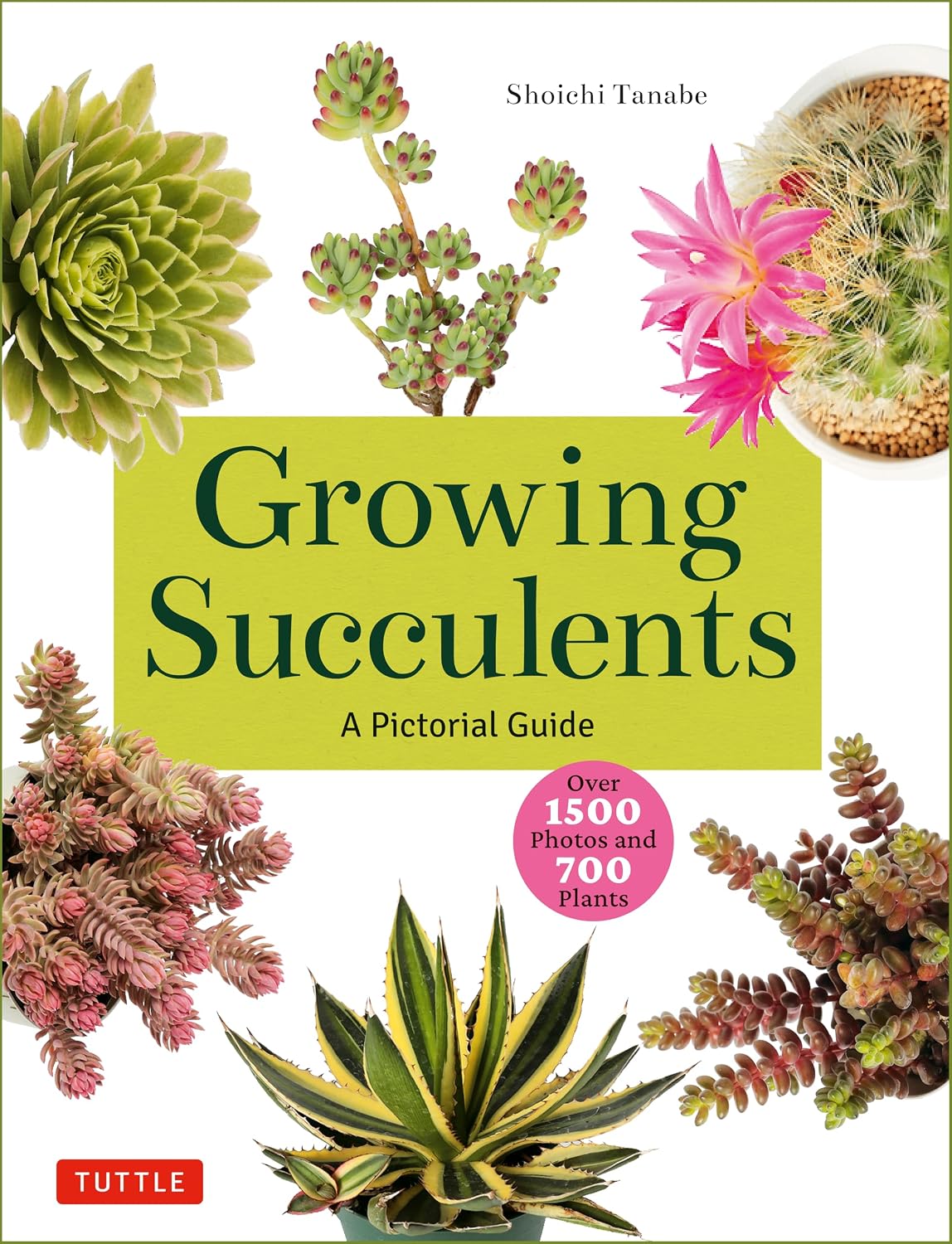 Growing Succulents: A Pictorial Guide (Over 1,500 photos and 700 plants) by Shoichi Tanabe