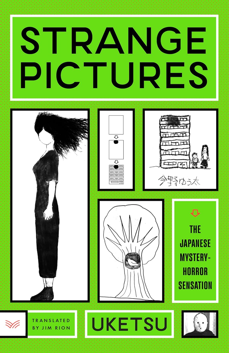 Strange Pictures: A Novel by Uketsu