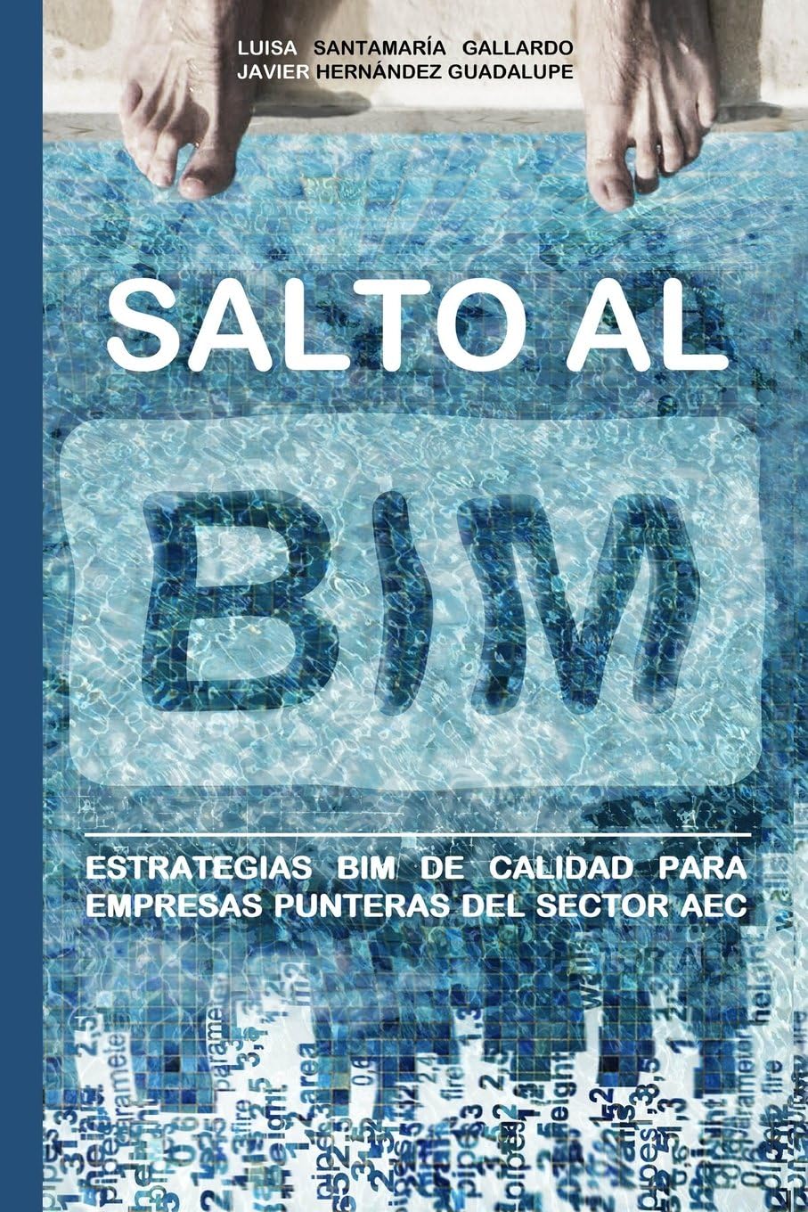Salto al BIM: Estrategias BIM de calidad para empresas punteras del sector AEC (Spanish Edition) by Javier Hernandez Guadalupe