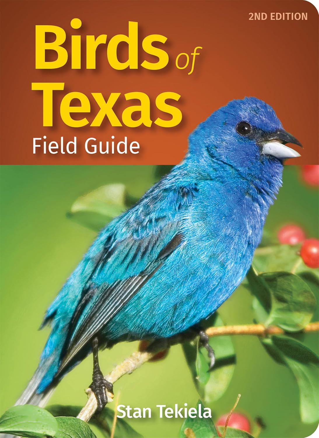 Birds of Texas Field Guide (Bird Identification Guides) by Stan Tekiela