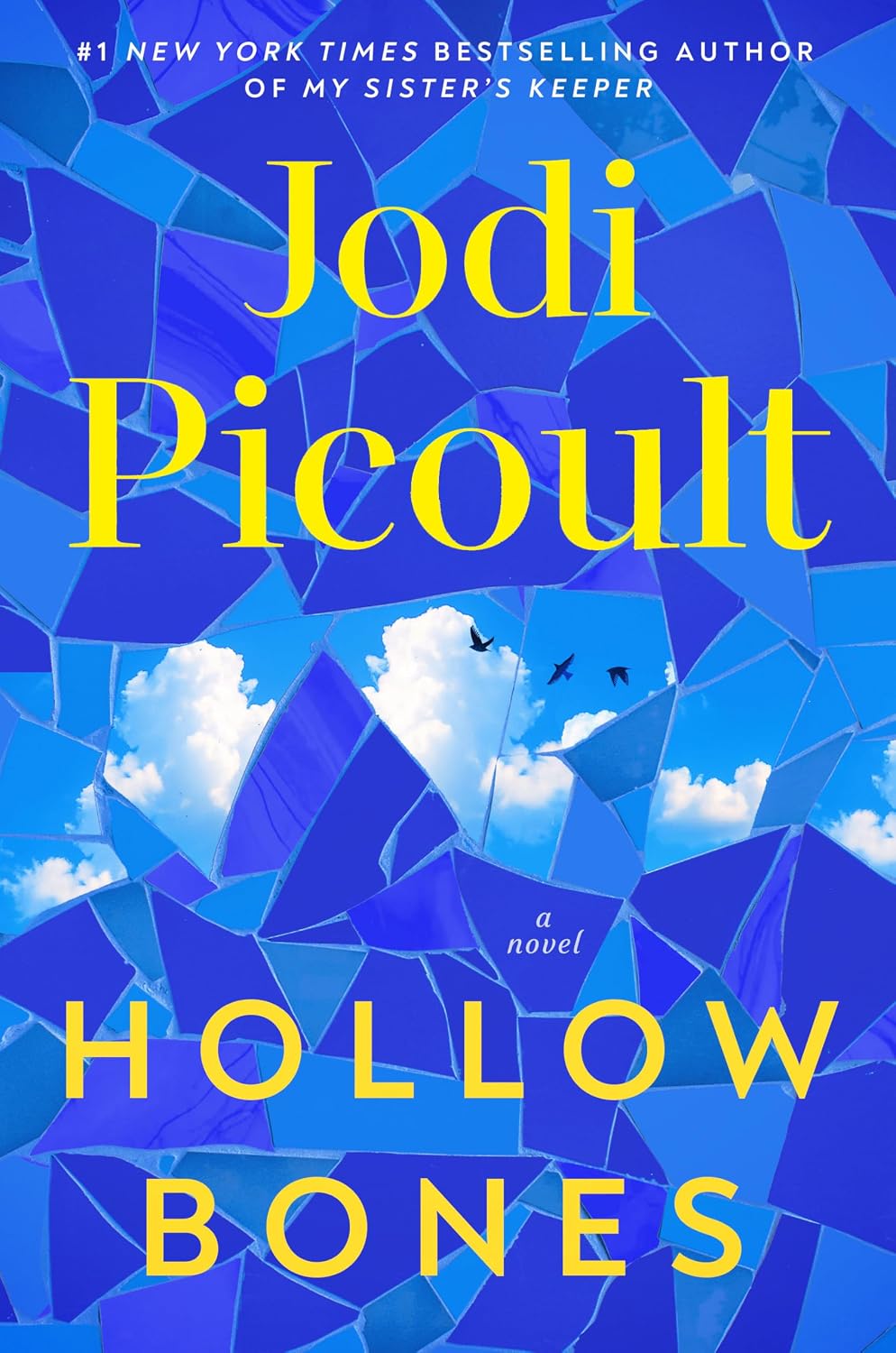 Hollow Bones: A Novel by Jodi Picoult