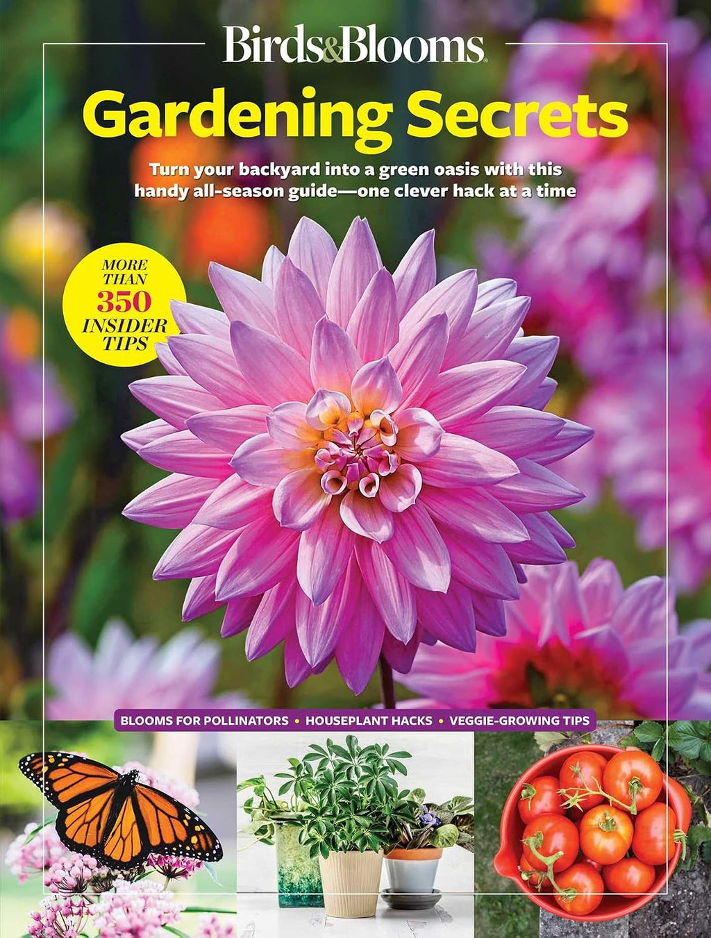 Birds & Blooms Gardening Secrets: All-Season Guide with Expert Tips and DIY Ideas for Thriving Gardens (Birds & Blooms Guide) by Birds & Blooms