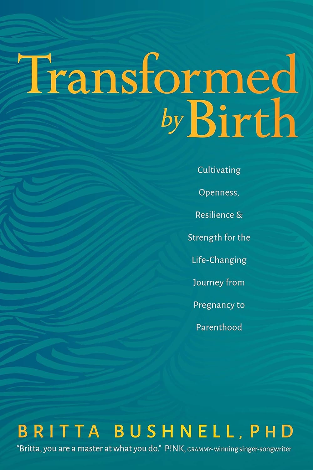 Transformed by Birth: Cultivating Openness, Resilience, and Strength for the Life-Changing Journey from Pregnancy to Parenthood by Britta Bushnell PhD