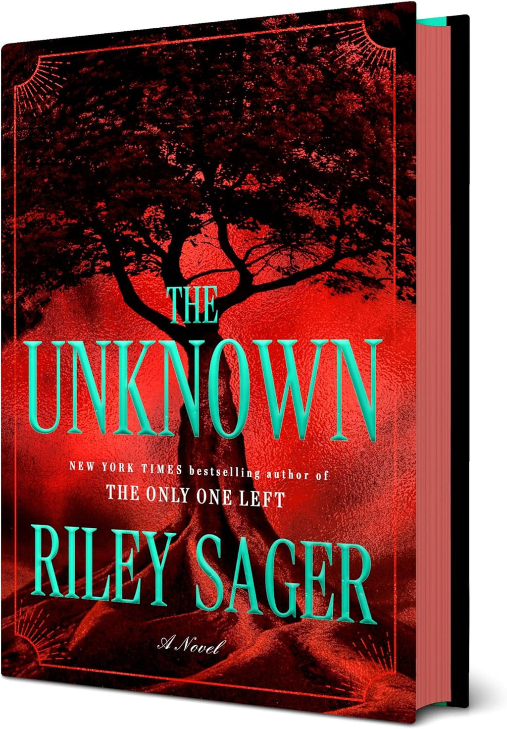 The Unknown: A Novel by Riley Sager