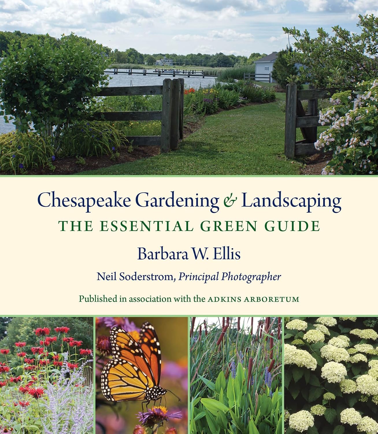 Chesapeake Gardening and Landscaping: The Essential Green Guide by Barbara W. Ellis