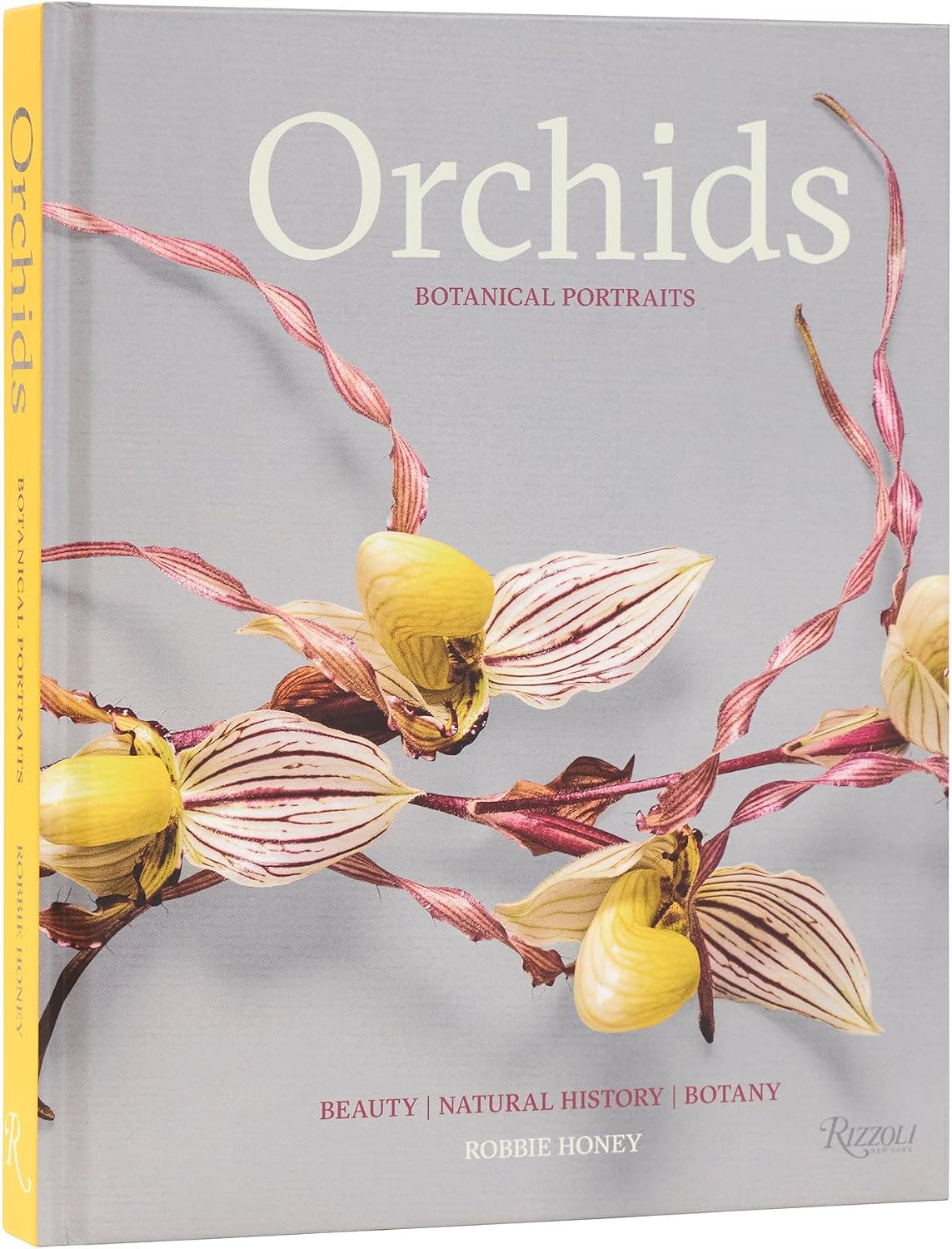 Orchids: Botanical Portraits: Beauty, Natural History, Botany by Robbie Honey