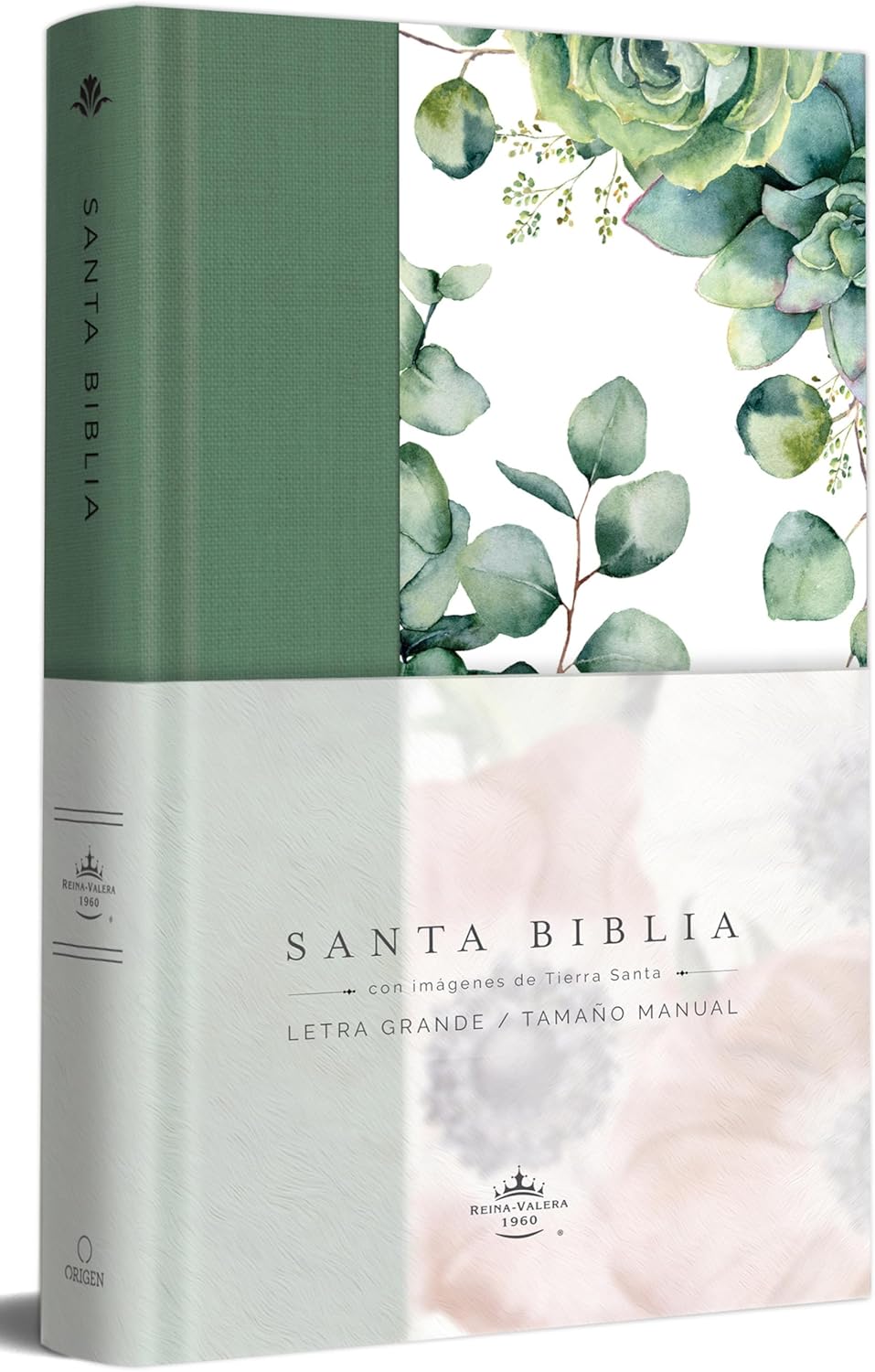 Biblia RVR 1960 letra grande Tapa dura y tela verde con flores tamaño manual / Bible RVR 1960 Handy Size Large Print Hardcover Cloth with Green Floral (Spanish Edition) by Reina Valera Revisada 1960