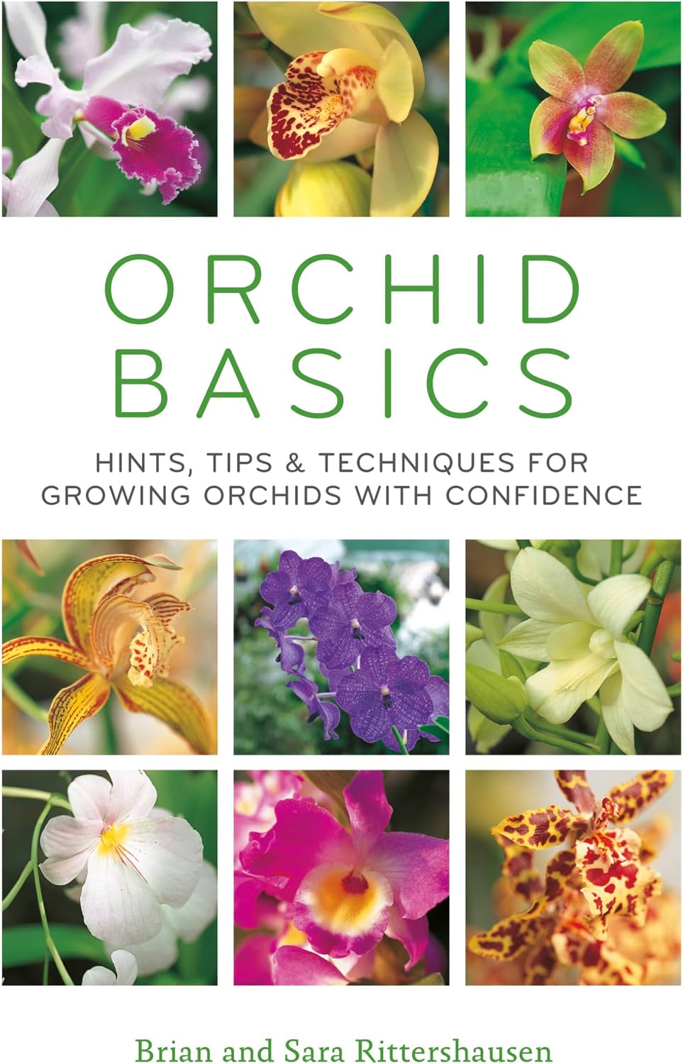 Orchid Basics: Hints, tips & techniques to growing orchids with confidence by Sara Rittershausen
