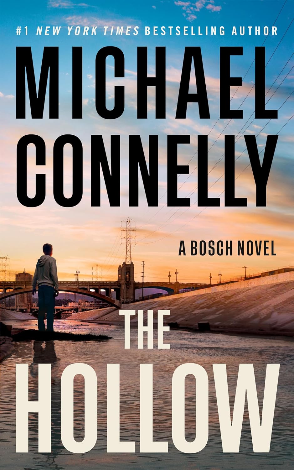 The Hollow: A Harry Bosch Novel by Michael Connelly