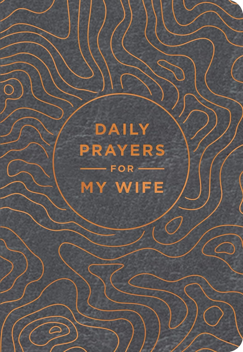 Daily Prayers for My Wife: A 90-Day Prayer Devotional (Devotions to Sustain and Strengthen Your Marriage) – The Perfect Gift for Christian Men by DaySpring