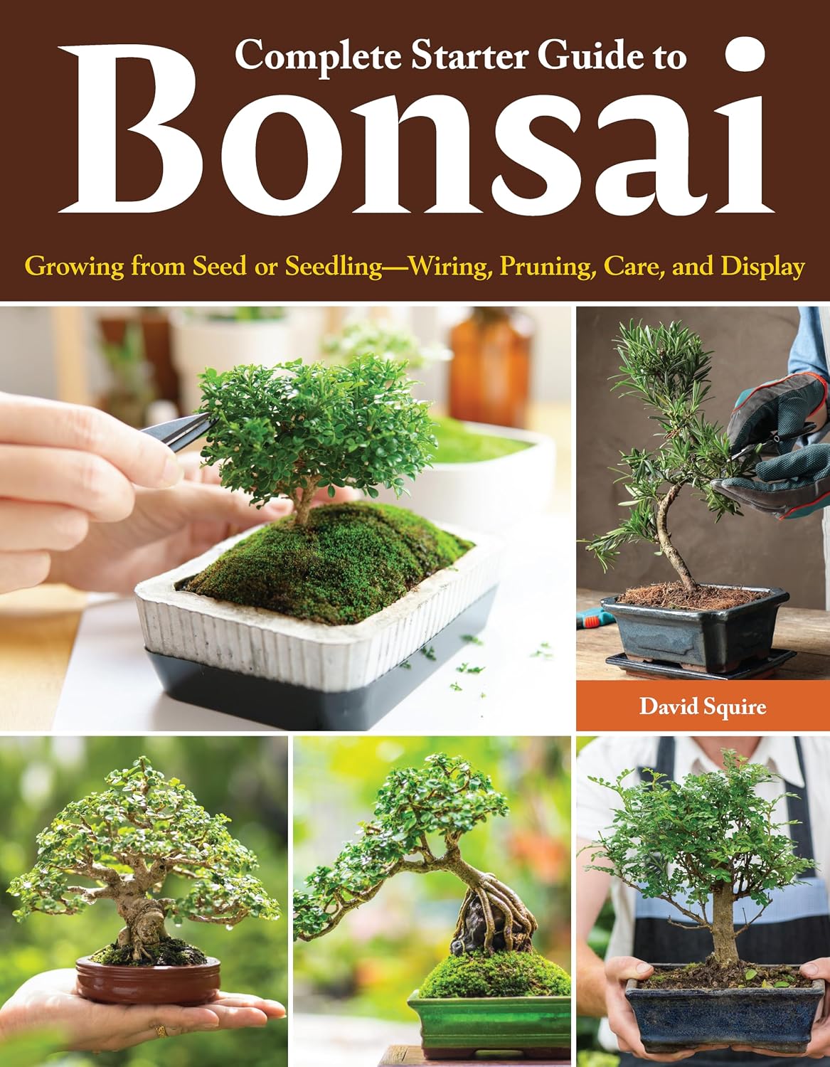Complete Starter Guide to Bonsai: Growing from Seed or Seedling - Wiring, Pruning, Care, and Display (Creative Homeowner) Beginner-Friendly Details for the Japanese Art of Bonsai Tree Care by David Squire