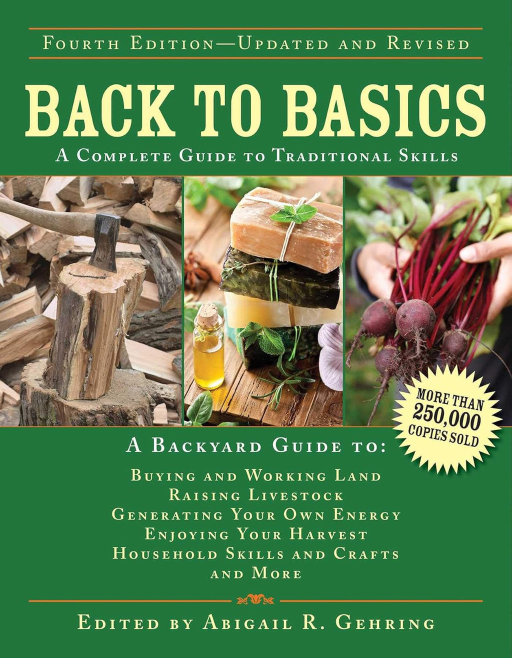 Back to Basics: A Complete Guide to Traditional Skills (Back to Basics Guides) by Abigail Gehring