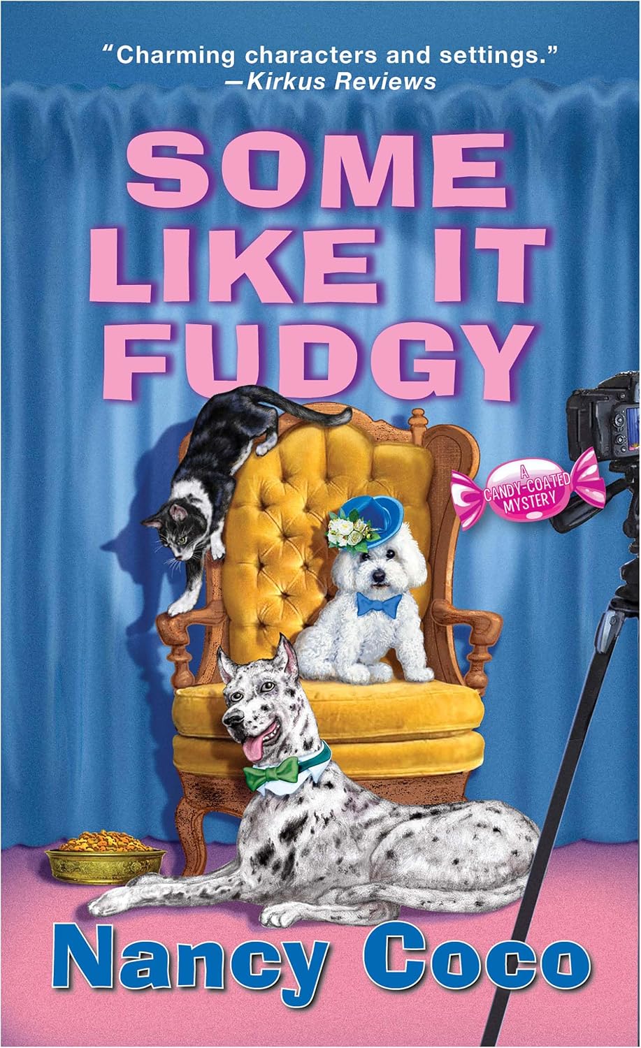 Some Like It Fudgy (A Candy-Coated Mystery Book 14) by Nancy Coco