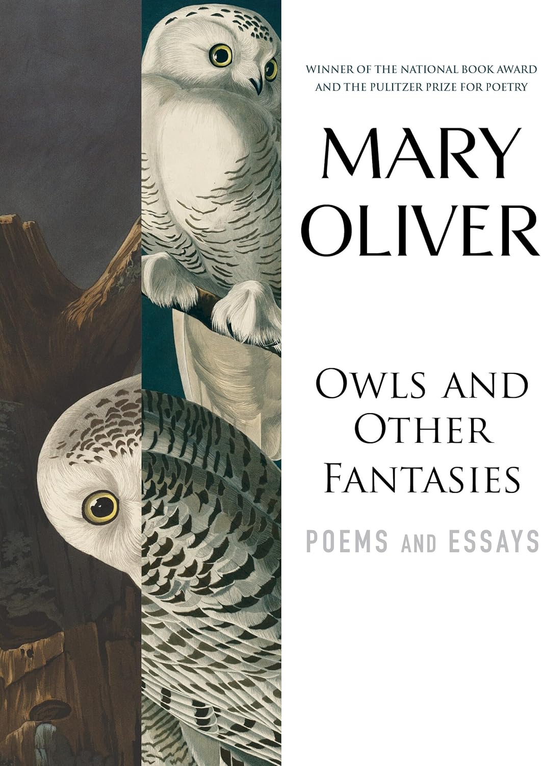 Owls and Other Fantasies: Poems and Essays by Mary Oliver