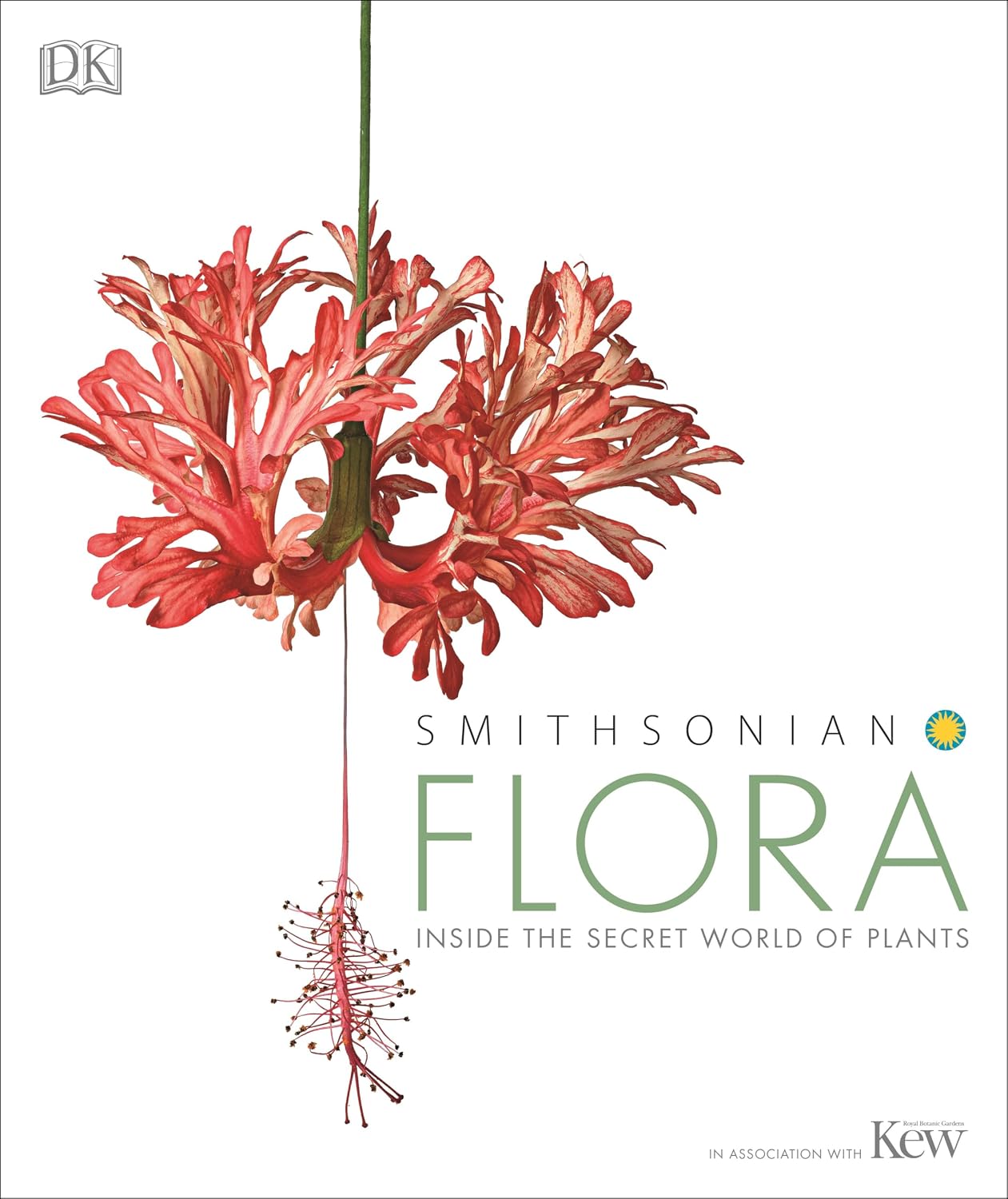 Flora: Inside the Secret World of Plants by DK